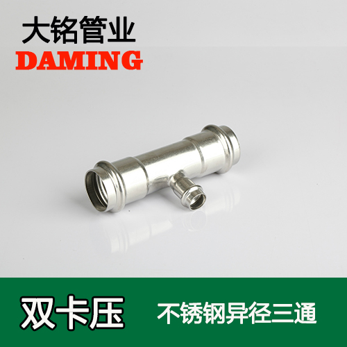 DN100*80 黄瓜视频在线观看异径三通接头(304 316L)