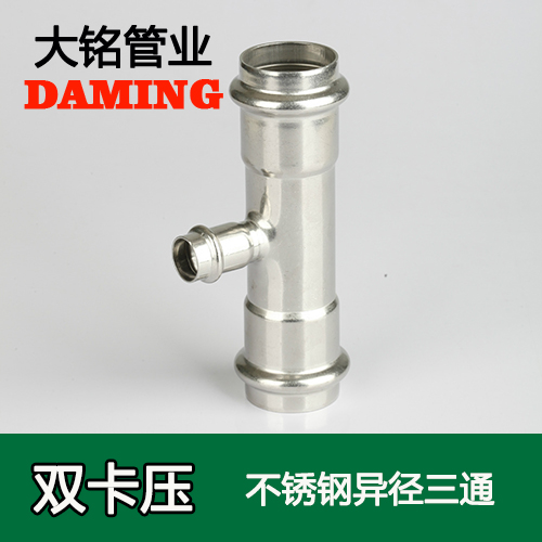 DN100*60 黄瓜视频在线观看异径三通接头(304 316L)