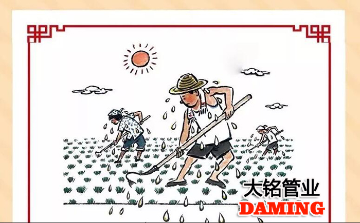 黄瓜视频黄色黄瓜视频在线观看